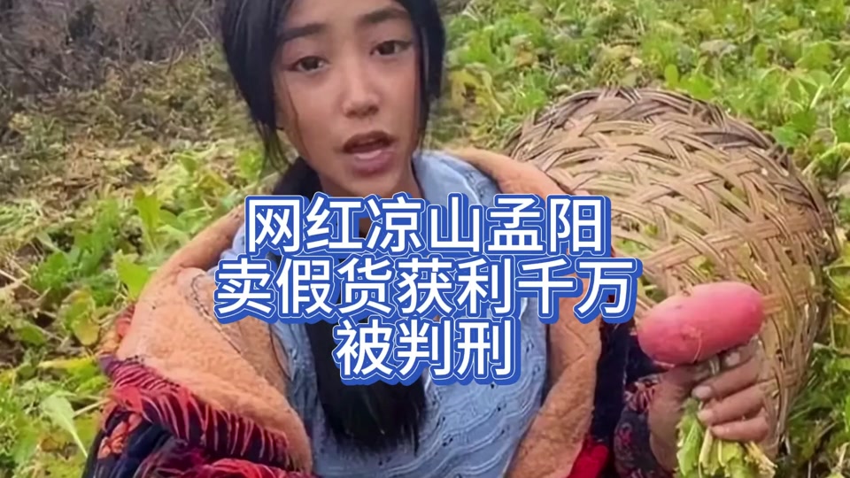 百万粉丝网红凉山孟阳被判刑 - 抖音