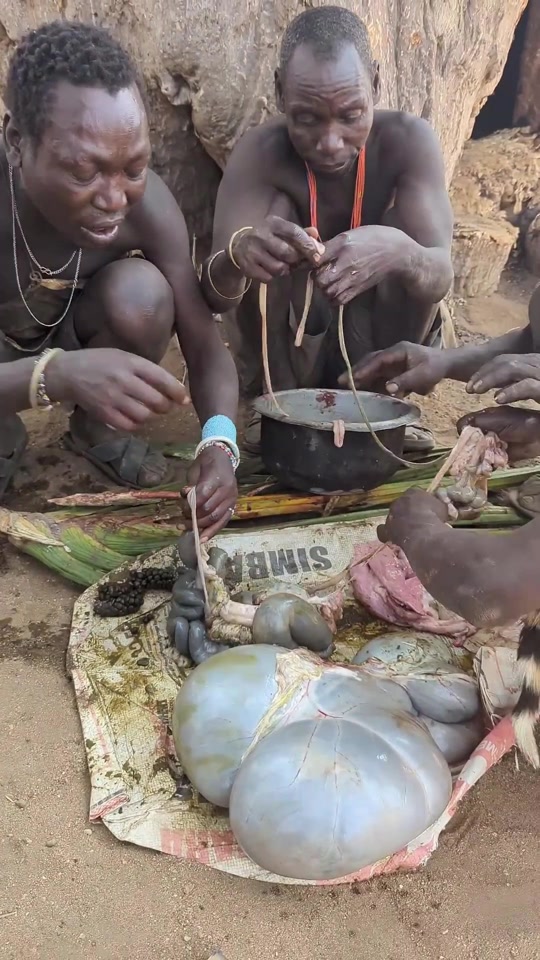 非洲人不吃大象