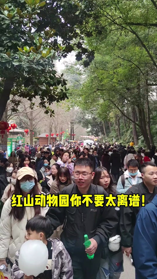南京红山森林动物园一日游攻略清明节 - 抖音