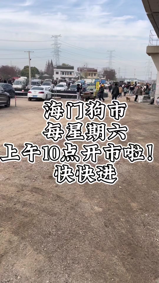 燕郊京丰狗市2024开市时间 - 抖音