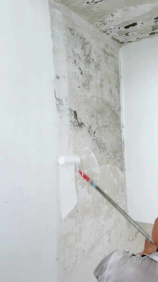 室内防水防潮防霉墙面涂料