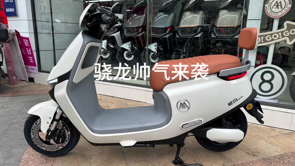 爱玛骁龙对比nzmix - 抖音