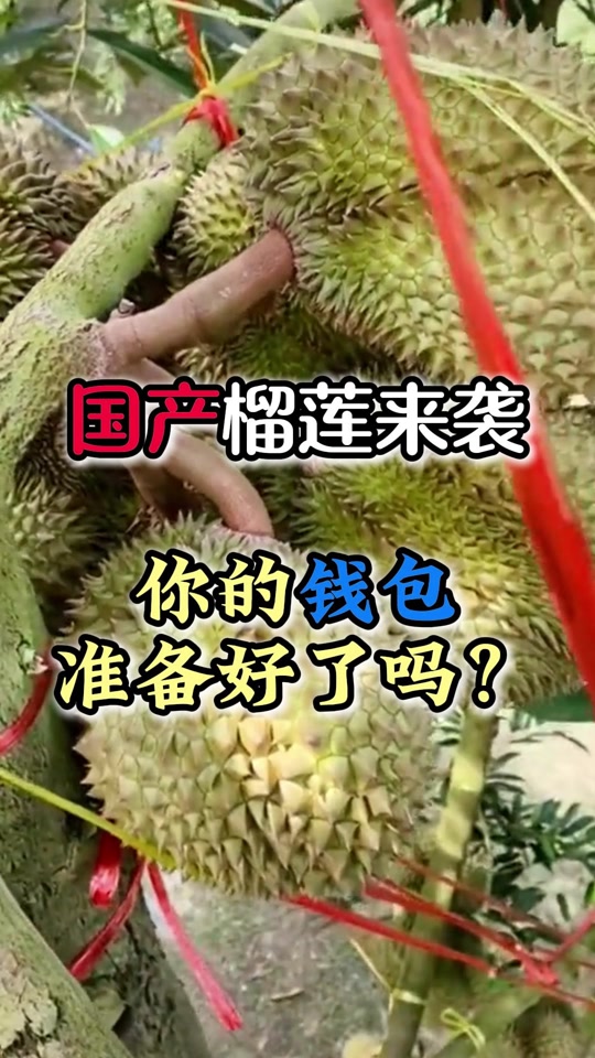 采国产榴莲视频网站_采国产榴莲视频网站在线观看