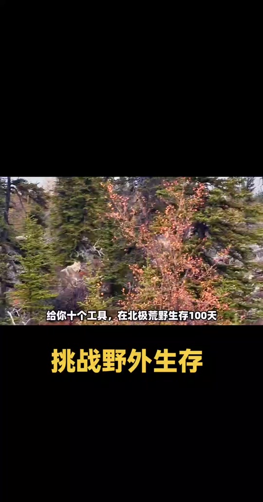 荒野生存挑战100天可以带哪些工具 - 抖音