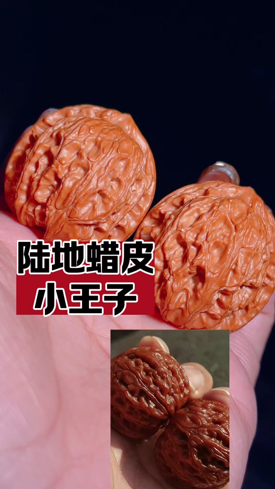 润竹文玩核桃:龙胆元宝文玩核桃#盘核桃 #文玩核桃知识 #越盘越上头的