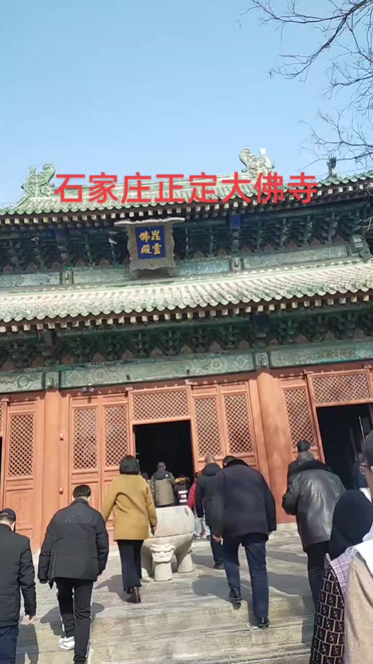 正定大佛寺3月9号要门票吗 - 抖音