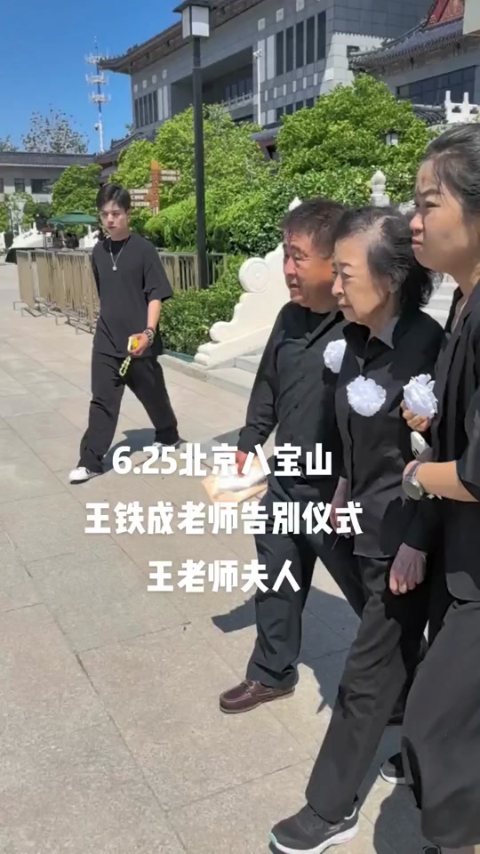 王铁成的女儿嫁给谁了 - 抖音