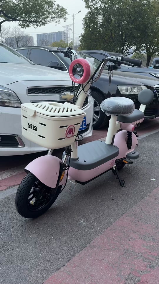 爱玛欢乐豆60与20装多大电池 - 抖音