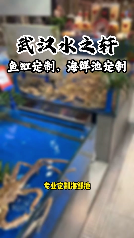 武汉海鲜池定制,武汉海鲜缸定制,武汉贝类池定制,海鲜池定制,海鲜缸