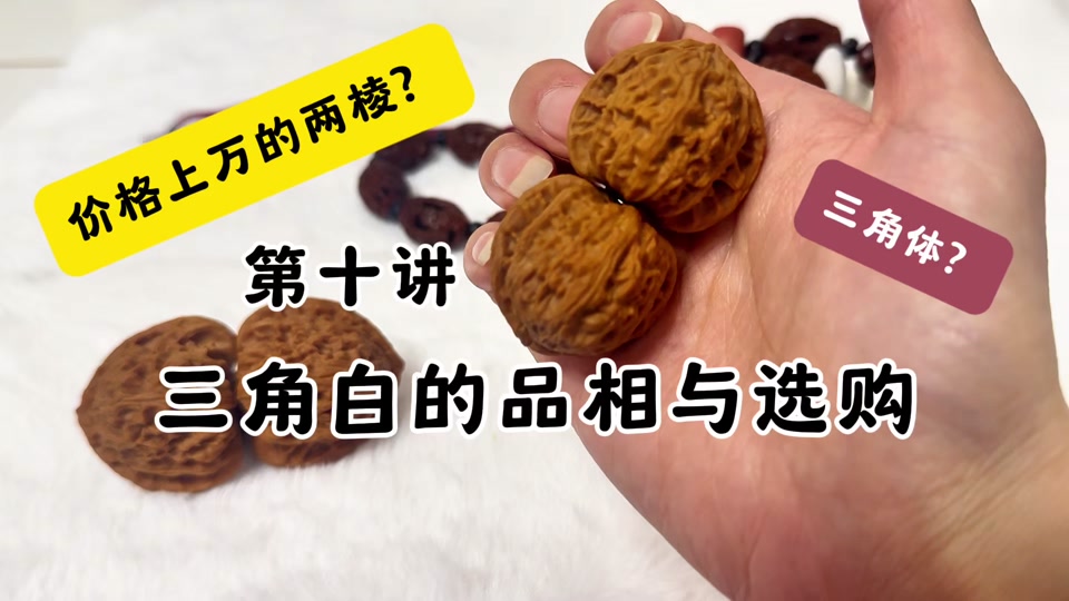 三角白和白狮子核桃的区别- 抖音
