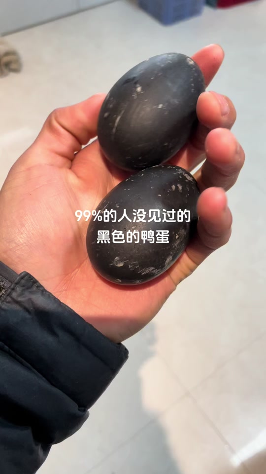 颓废村民陈小鸭😘:莆田黑鸭,黑毛黑嘴黑脚,连下的蛋也是黑的