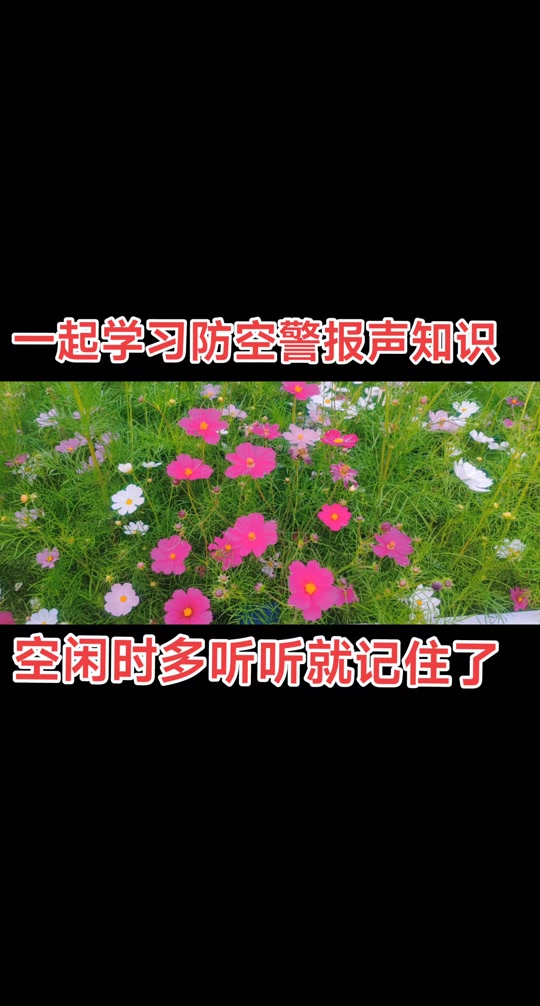 刚刚蚌埠怎么响起了防空警报声 - 抖音