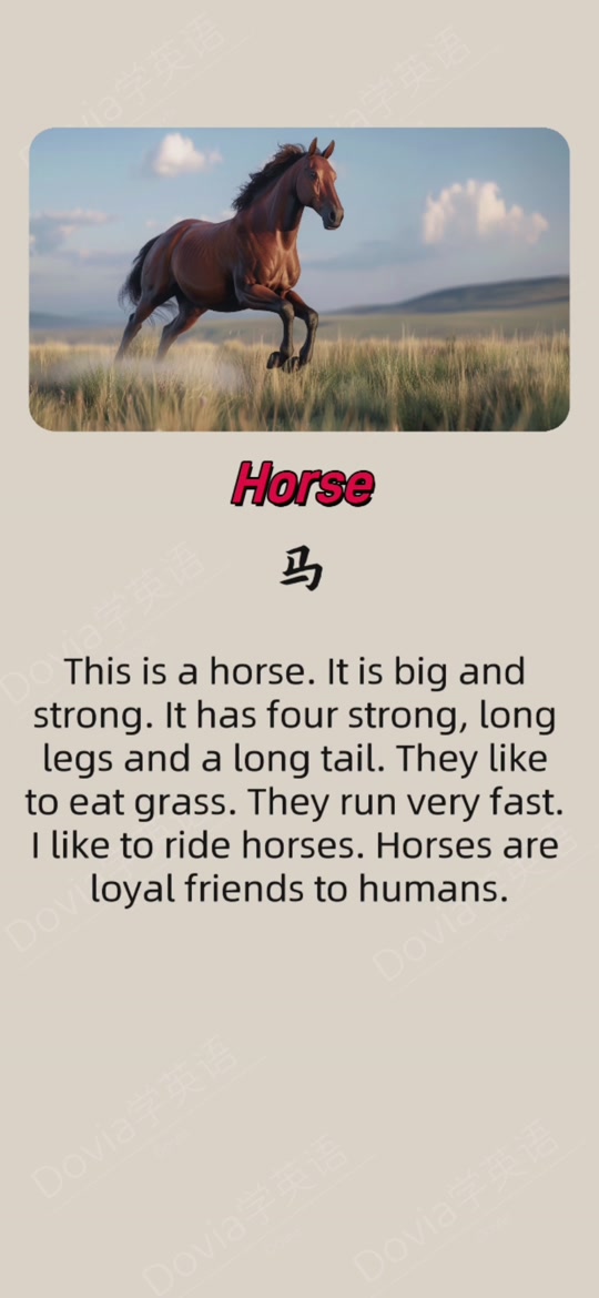 少儿小学英语,每日短文听读