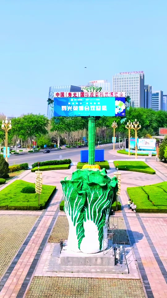 寿光蔬菜博览会2024有采摘环节吗 - 抖音