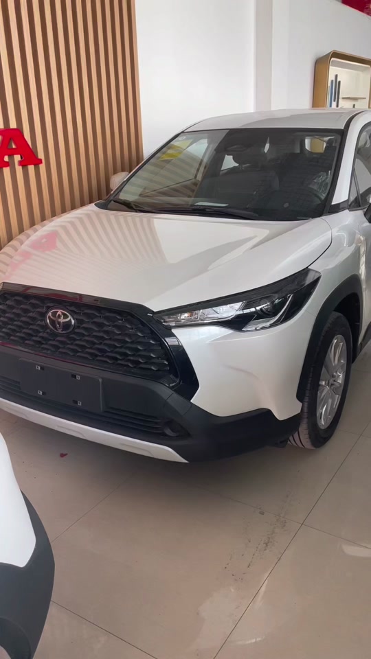 丰田卡罗拉6座旅行车国内上市时间 - 抖音