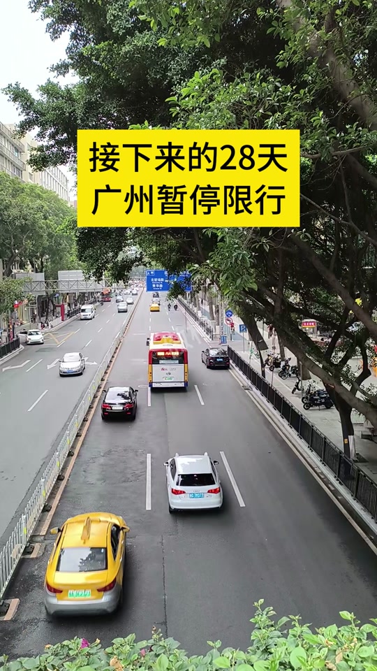 深圳2024年4月20日限行吗 - 抖音