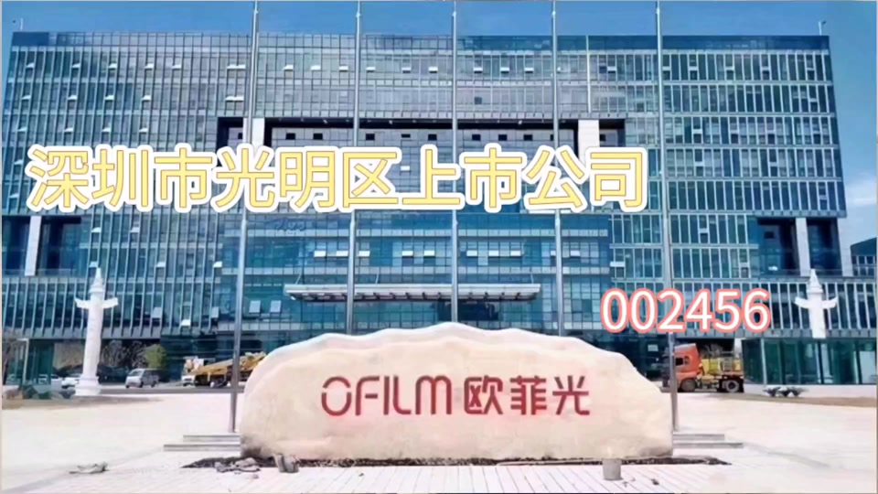 欧菲光董事长蔡荣军为什么辞职 - 抖音