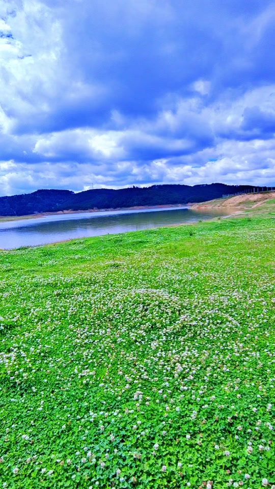 小平阳麒麟水库宝地