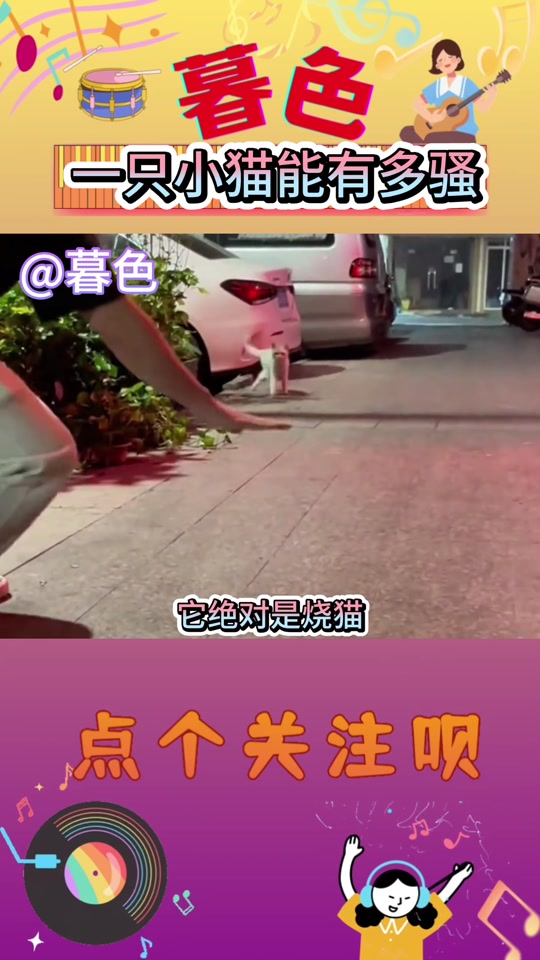 夜翼和骚猫被抓