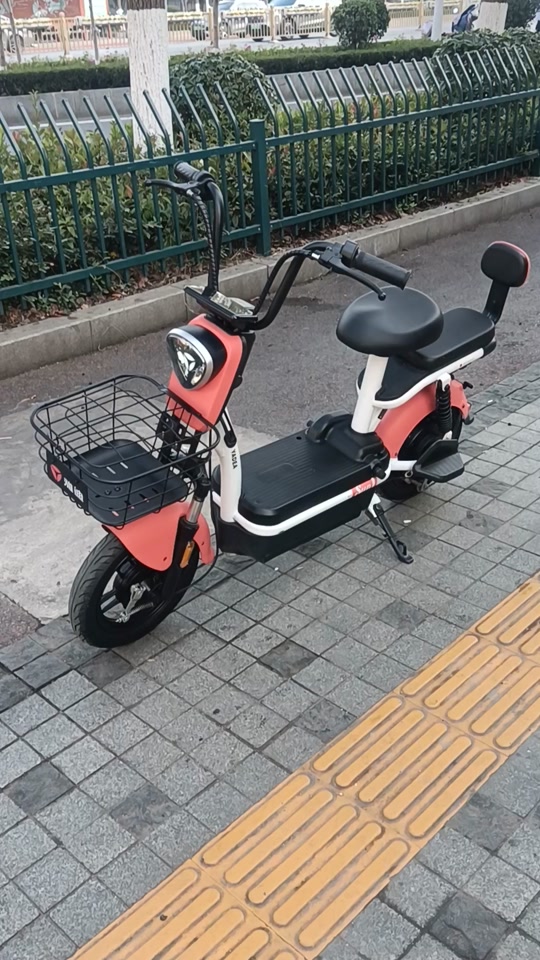 雅迪乐骑系列电动车多少元 - 抖音