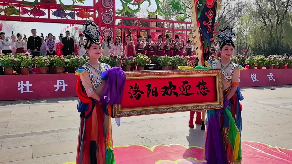 洛阳第41届牡丹花会旅游年票能用吗 - 抖音