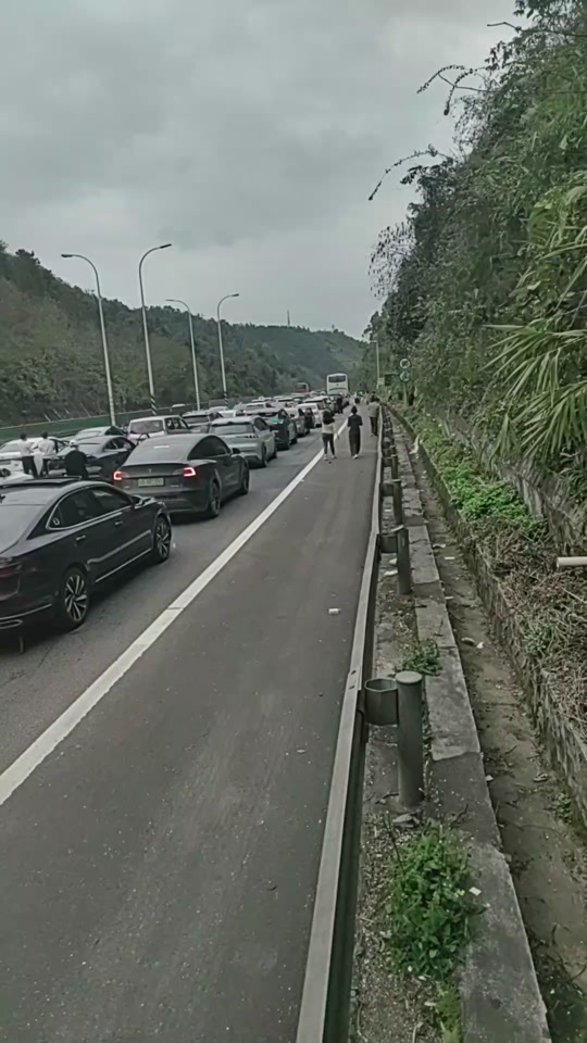 春节大堵车,二广高速,肇庆路段#高速堵车