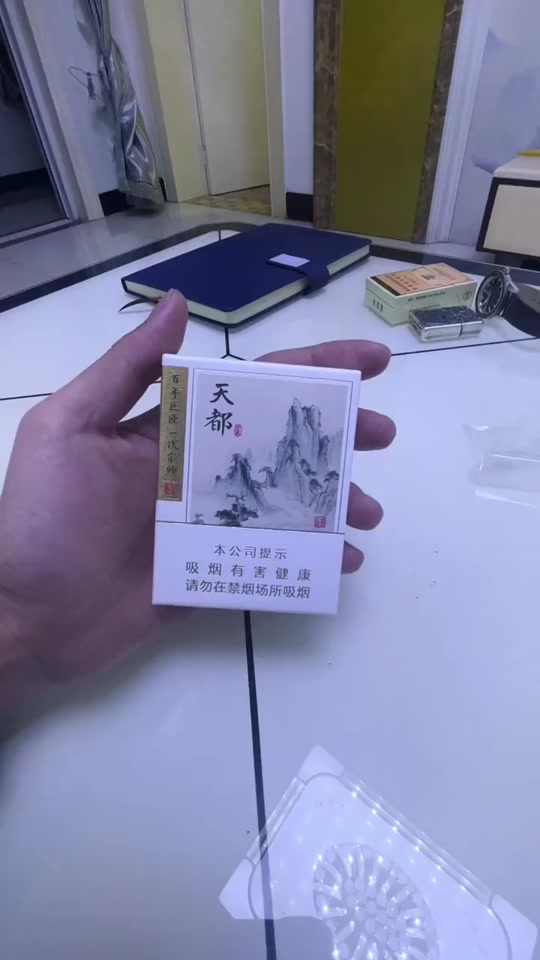 天都烟2021价目表_天都巨匠烟3000一条_16支天都是大天都还是小天都