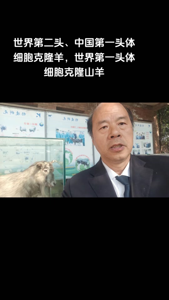 中国第一只克隆牛在哪诞生 - 抖音