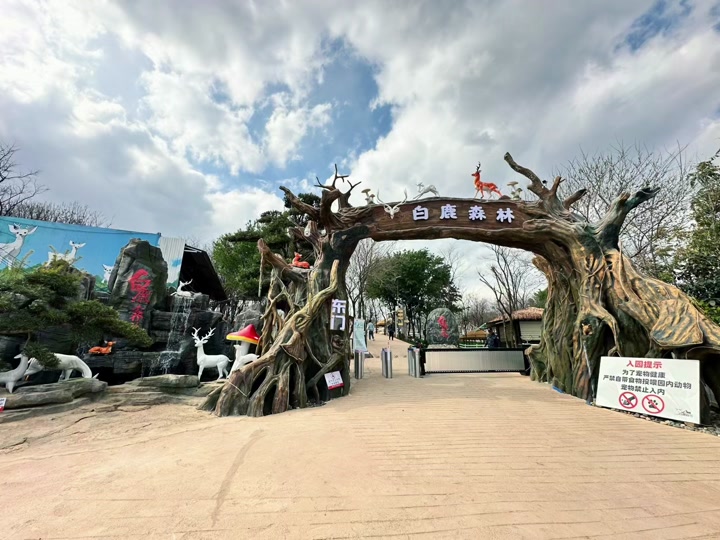 白鹿森林游玩攻略需要带拖鞋吗 - 抖音