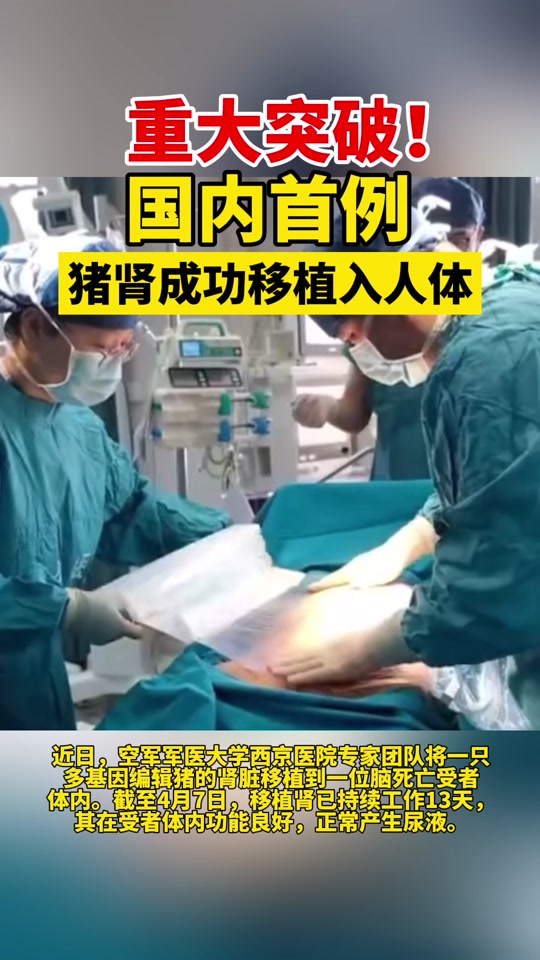 中国2024肾移植用猪肾了吗 - 抖音
