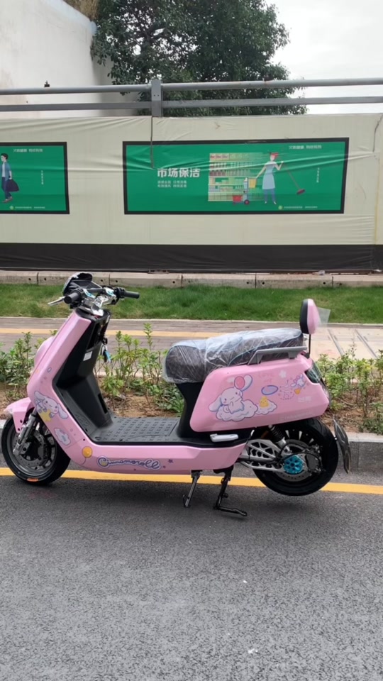 n9电动车和瑞高电动车哪款好 - 抖音