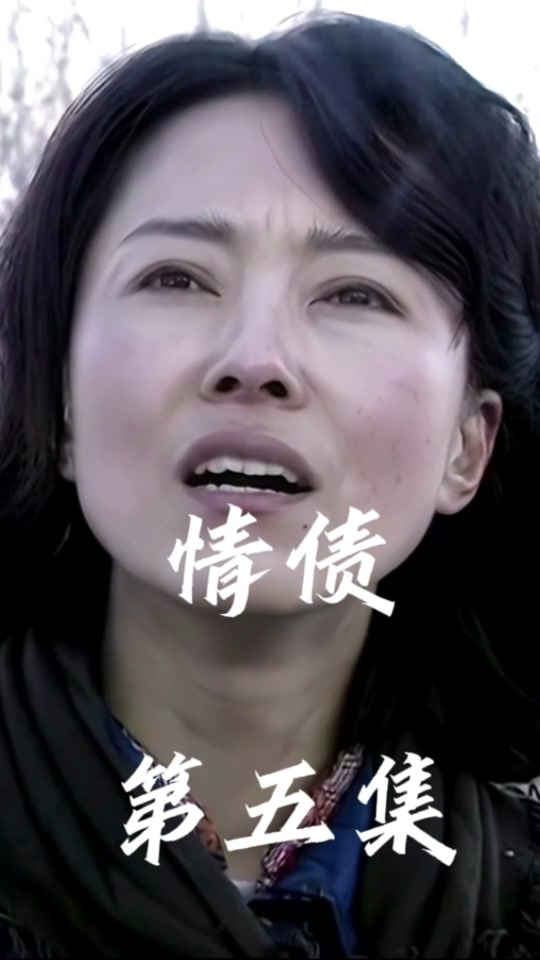 七嫂怀孕朱四回家