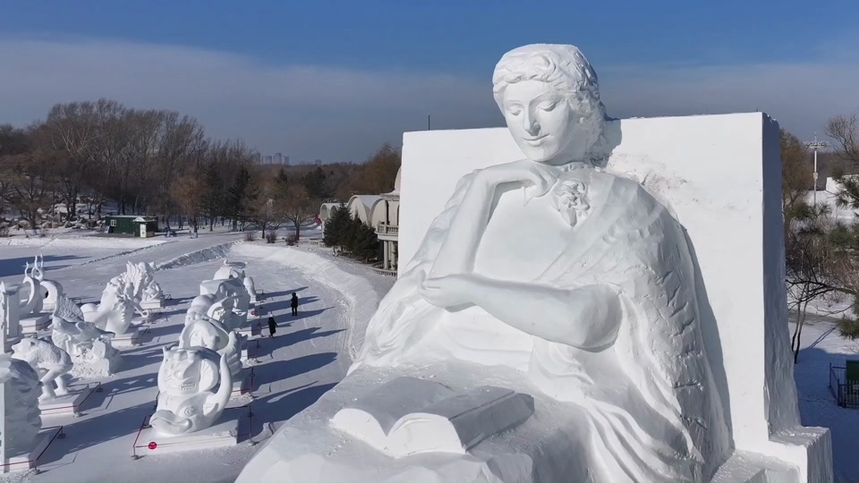 十六届中国哈尔滨国际雪雕比赛作品选(太阳岛雪博会) #雪雕 #冰雕雪雕