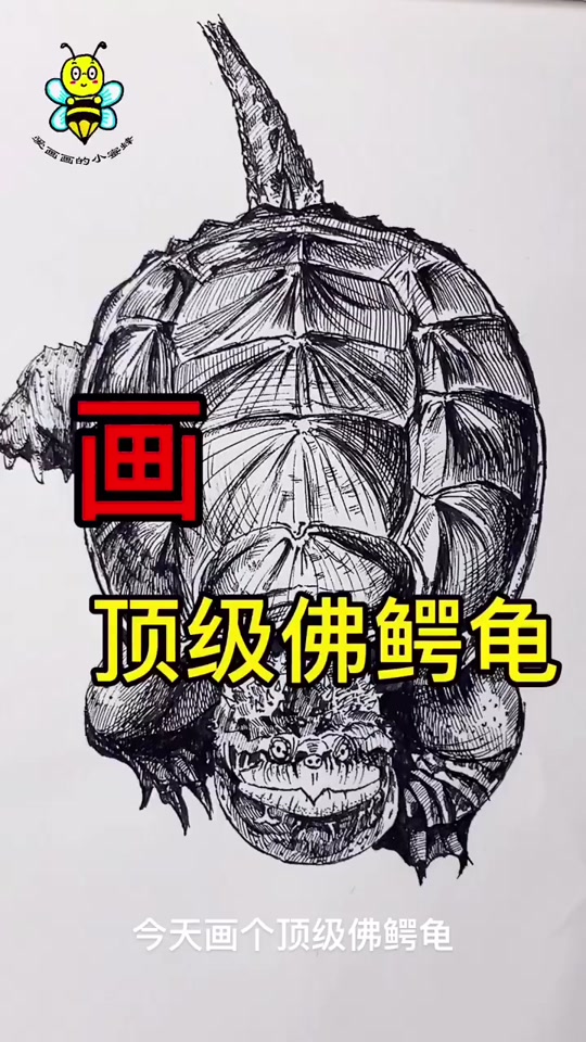 呆火鳄简笔画_地蜥鳄简笔画_小鳄龟简笔画 - 抖音