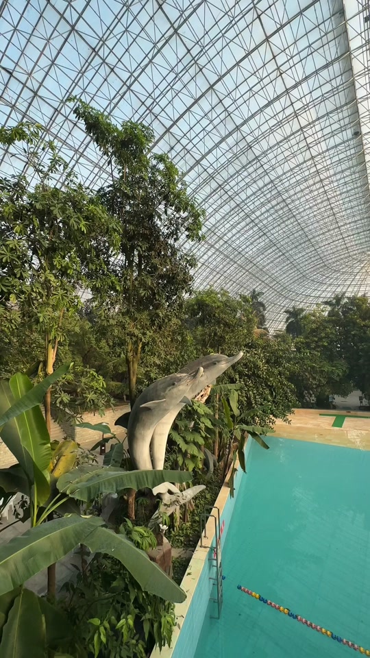 大连成园温泉山庄春节营业吗 - 抖音