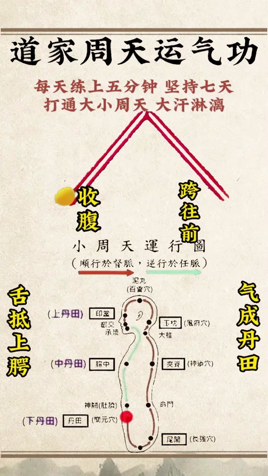 大周天运行路线图_气功大周天运行路线图_道家大周天运行路线图 - 抖