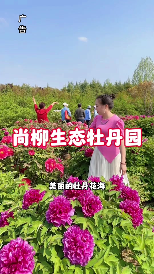 牡丹园门票在哪买 - 抖音