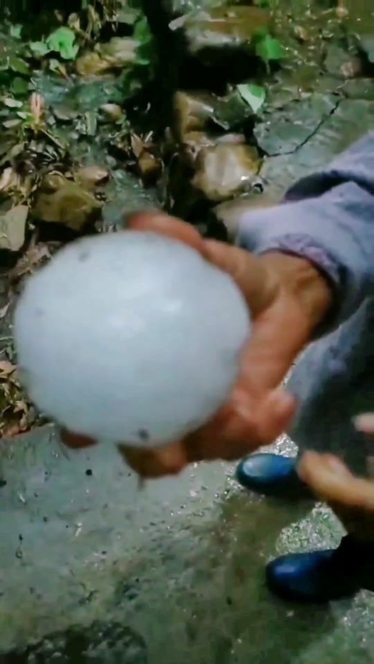 2024贵州冰雹能有多大 - 抖音