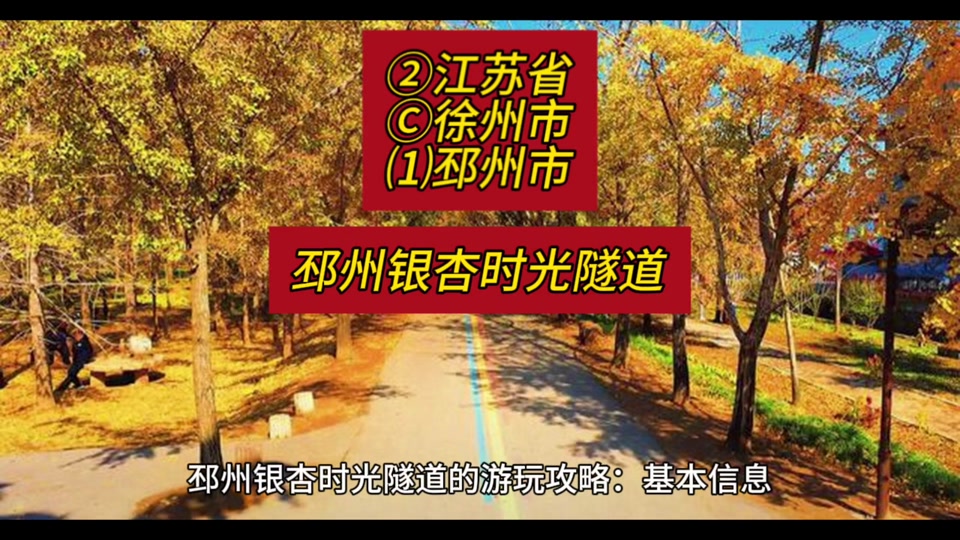 2024年邳州时光隧道最佳观赏时间 - 抖音