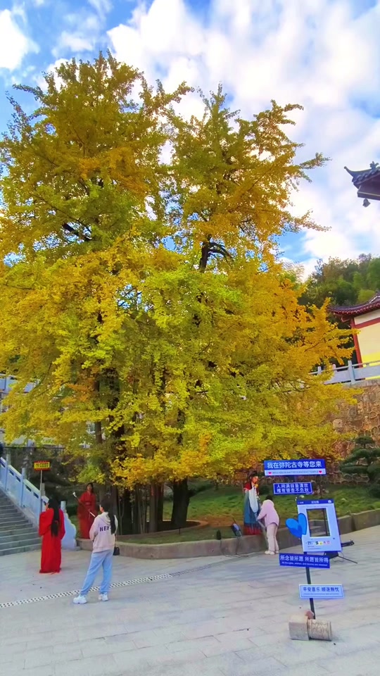 西安南五台弥陀古寺