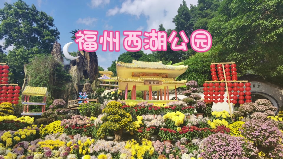 福州西湖公园4月11号什么活动 - 抖音