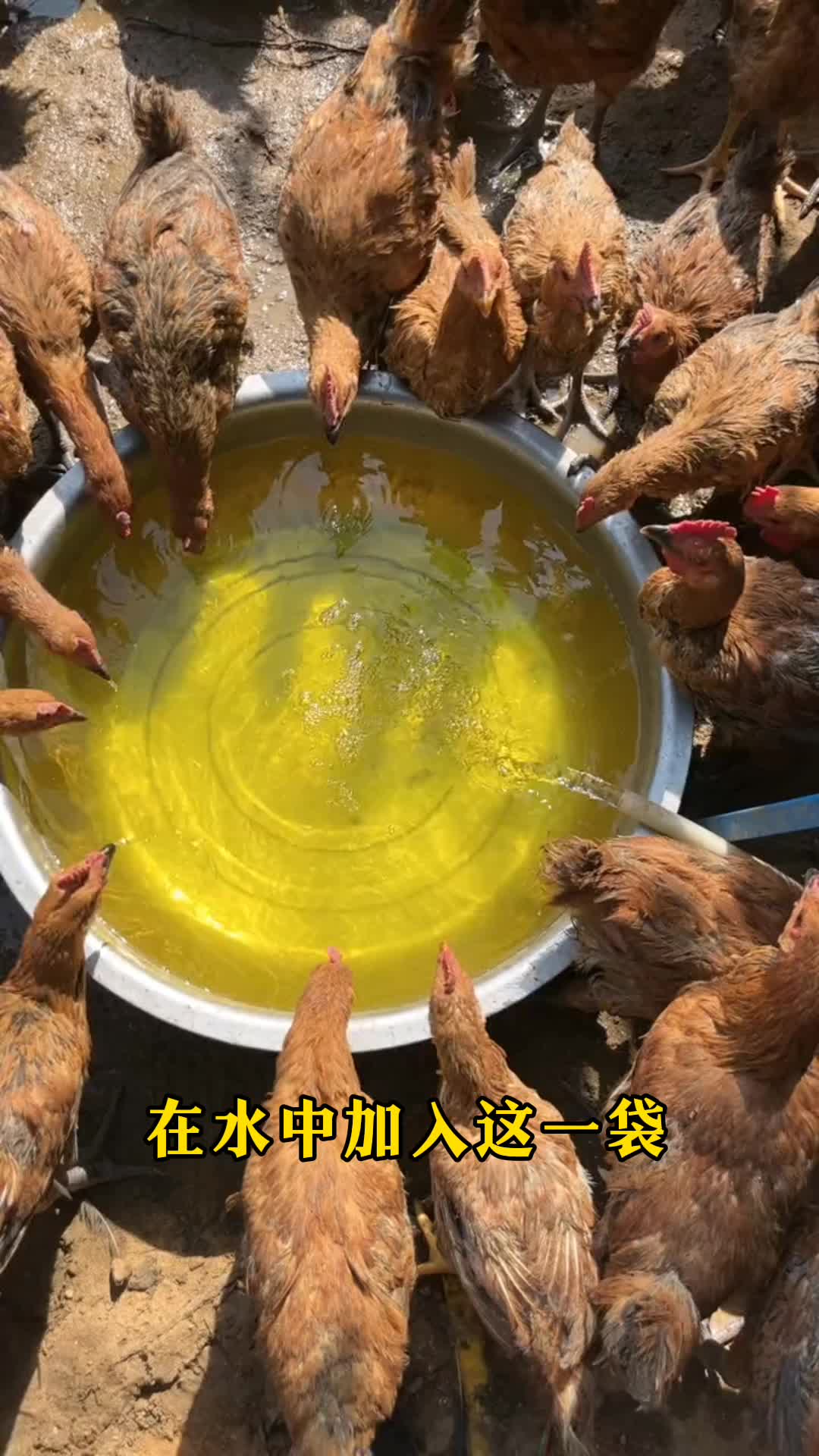 养殖什么不愁卖(养殖什么见效快不愁卖)