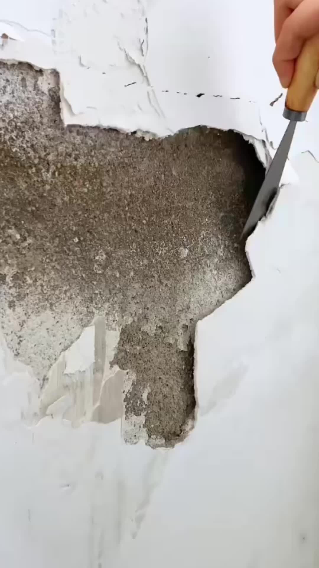 用补墙膏,一兔涂一刮轻松修复墙面