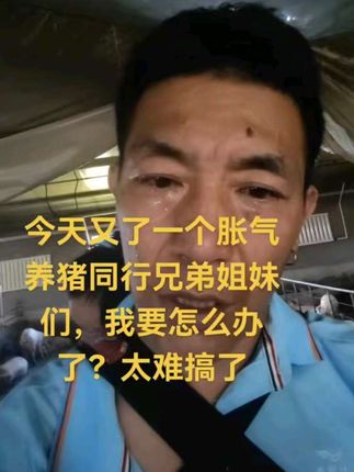#太不容易了