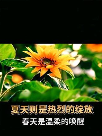 上联:春风春雨春暖花开,
下联:秋霜秋露秋景秋实。#
喝醉,从来就不是酒精的罪过,而是感情的度数太高