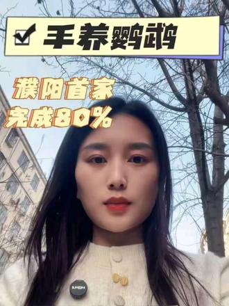 全网催出来的鹦鹉店,终于在濮阳交卷了!#手养鹦鹉 #濮阳首家#鹦鹉亲子体验#萌宠生活