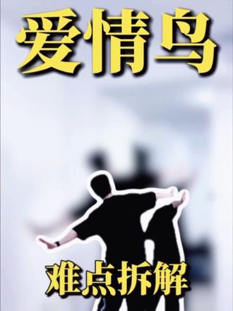 《爱情鸟》难点拆解版
#爱情鸟 #创作者扶持计划 #零基础学舞蹈 #波派舞蹈计划