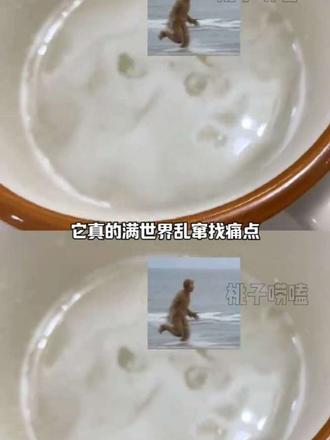 这个布洛芬还是挺有礼貌的 #万万没想到 #布洛芬 #抽象 #整活