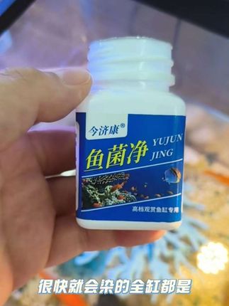【观赏鱼黑斑】 鱼菌净黑斑红斑烂肉掉鳞蒙眼不爱动不伤鱼通用#鱼菌净