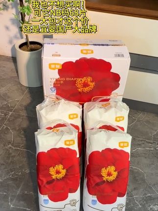 趁活动给小宝囤了两箱#宜婴红花山茶裤 这价到手两大包,真的巨划算#尿不湿推荐#超薄透气 #萌娃必备屁粮#囤货啦